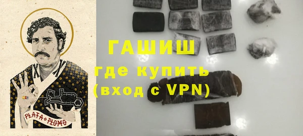 индика Беломорск