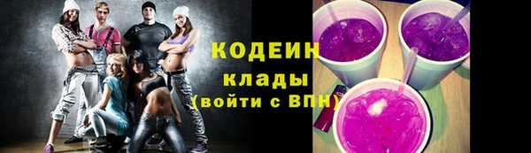 индика Беломорск