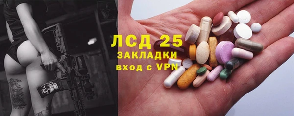 индика Беломорск