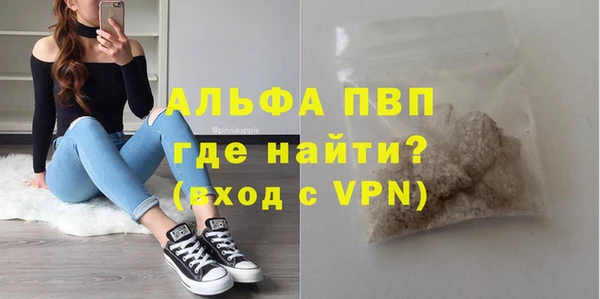 индика Беломорск