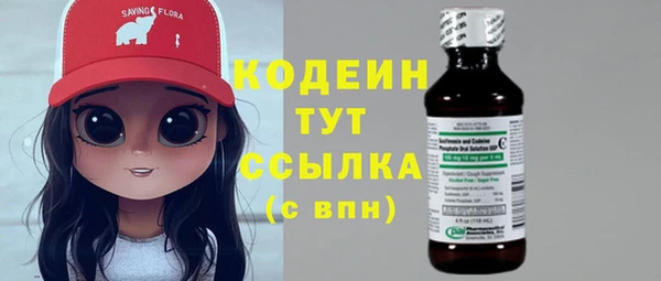 индика Беломорск