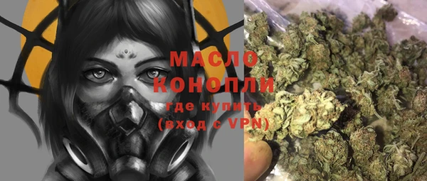 индика Беломорск
