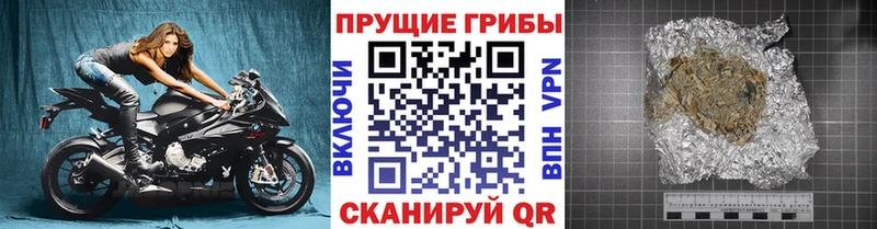 Купить закладки  Асбест  Галлюциногенные грибы Psilocybine cubensis 